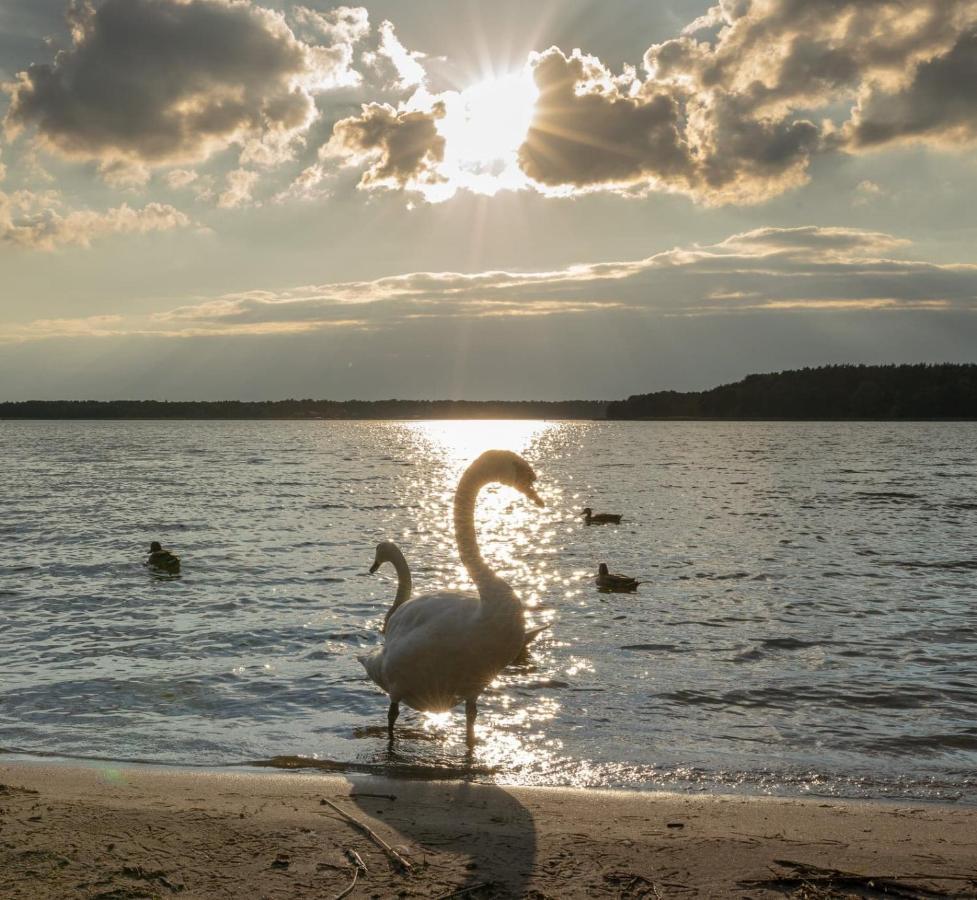 Apartament Augustow Swan Kültér fotó