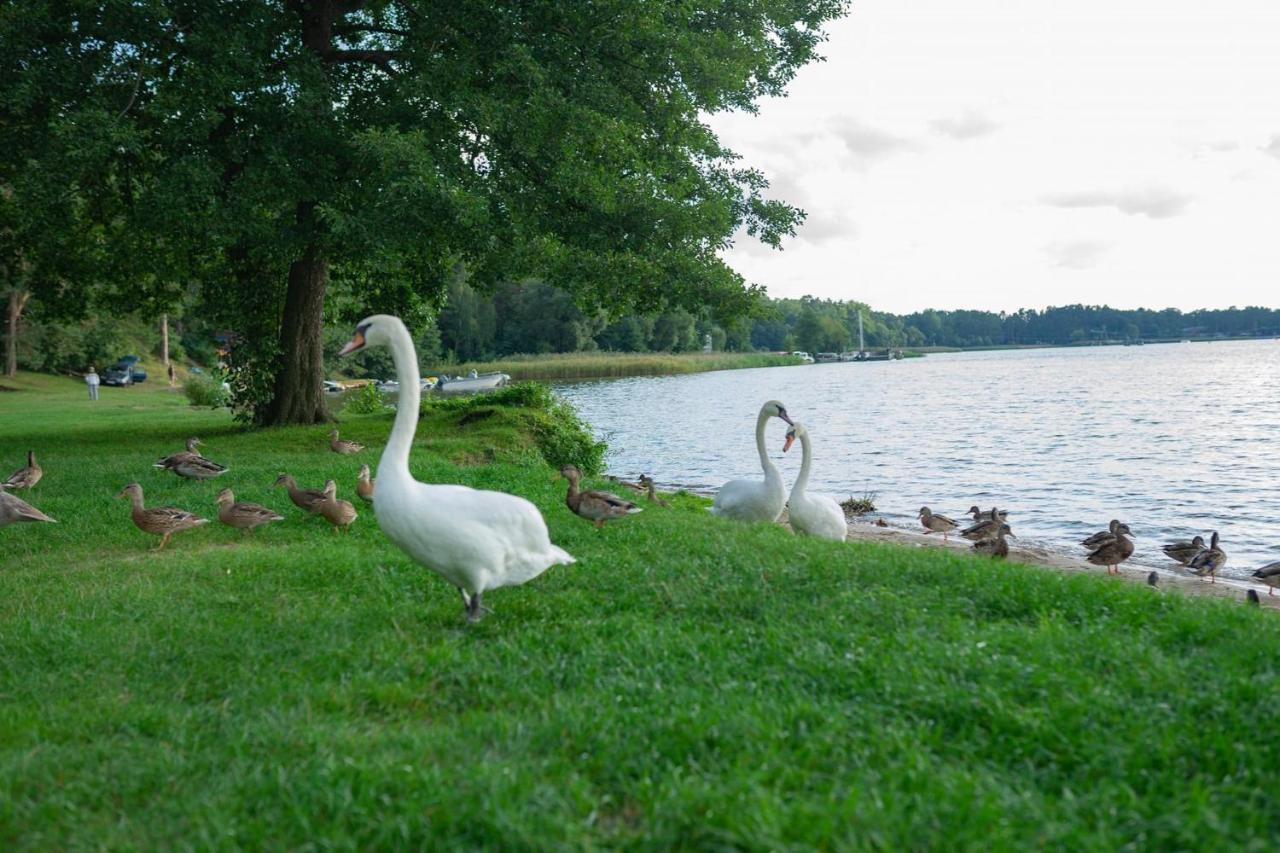 Apartament Augustow Swan Kültér fotó