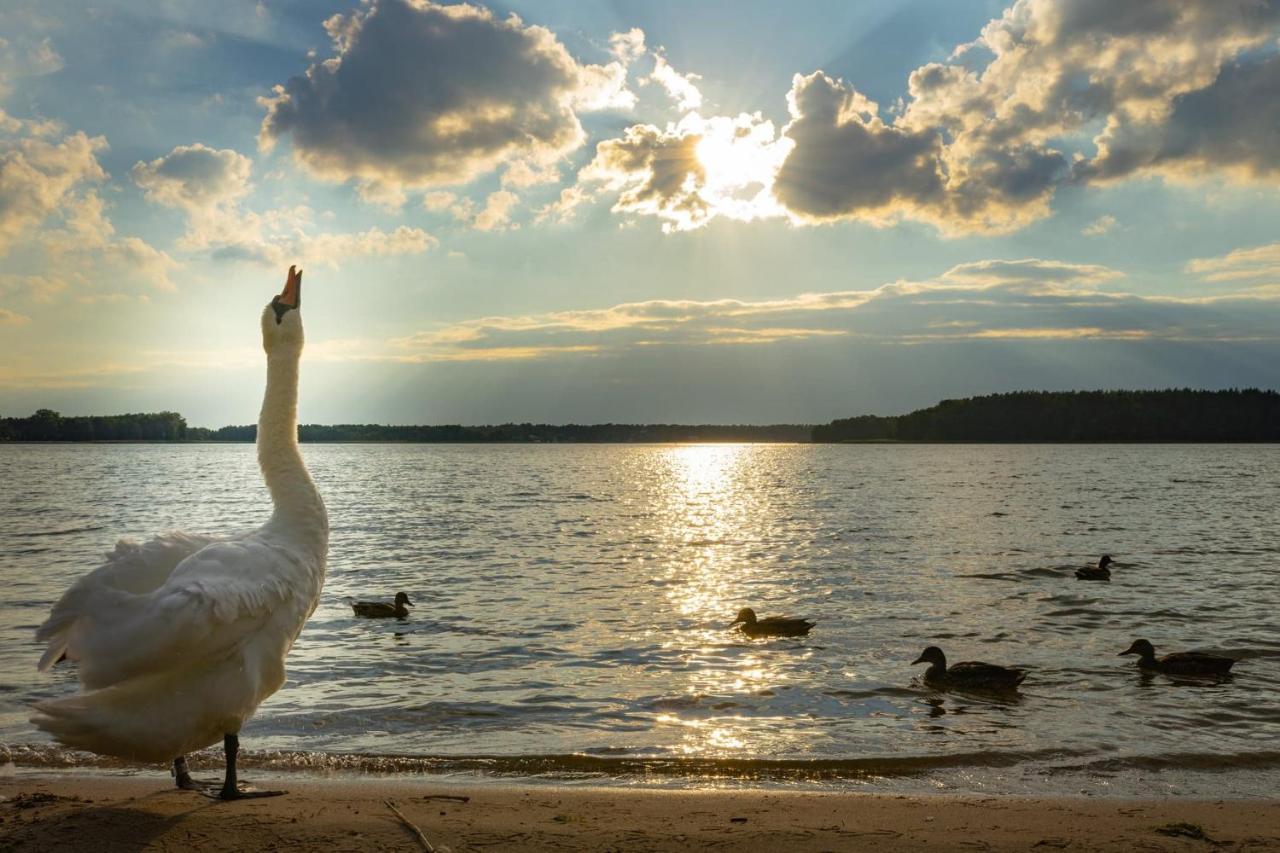 Apartament Augustow Swan Kültér fotó